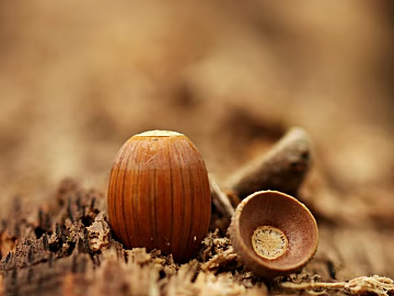 Wallpaper texture (ID:ffaeg55247)