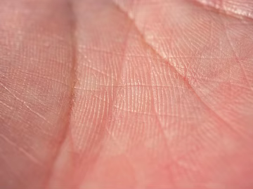 Skin texture (ID:ffagg67888)