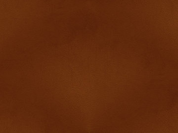 fine grain leather texture (ID:ffaif0771)