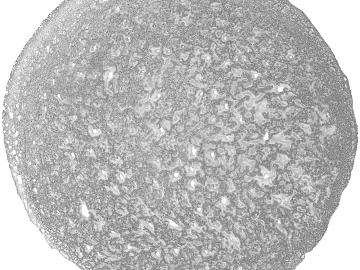 Gray White Black and White Bump Map texture (ID:ffaeh282566)