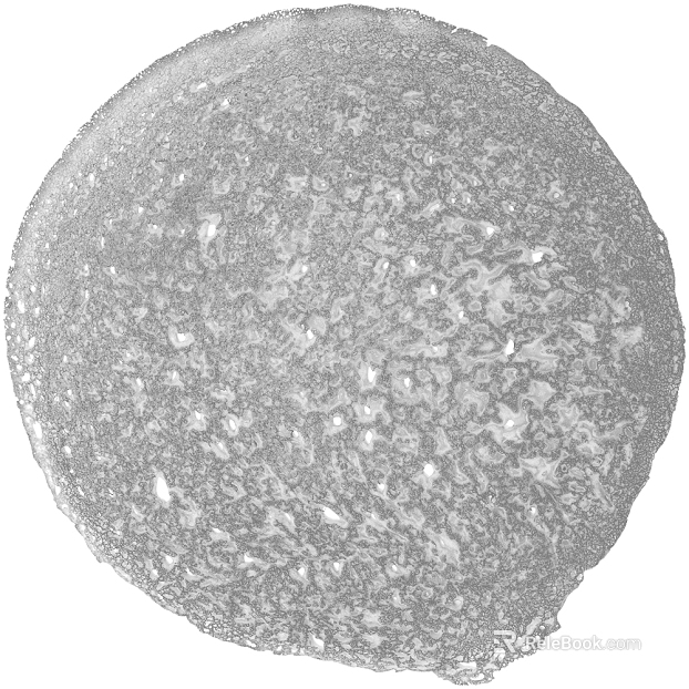 Gray White Black and White Bump Map texture