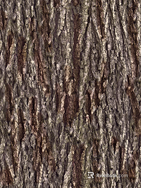 bark texture