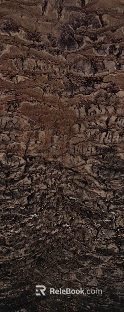 bark texture