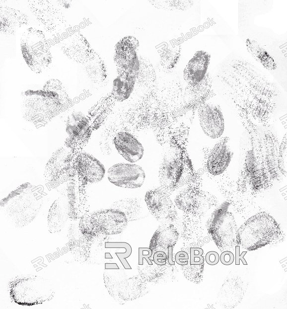 Fingerprint texture