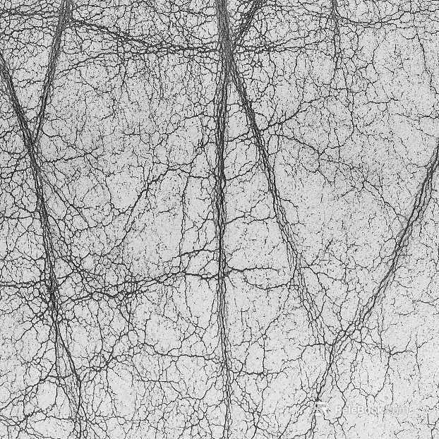 Black and White Bump texture