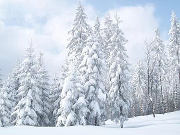 Snow texture (ID:ffacg87441)