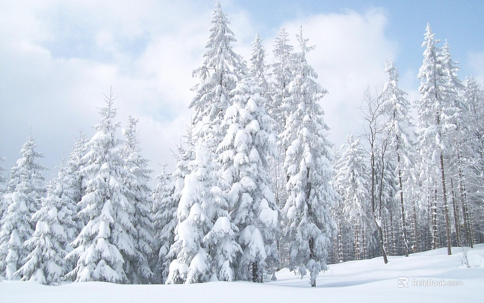 Snow texture