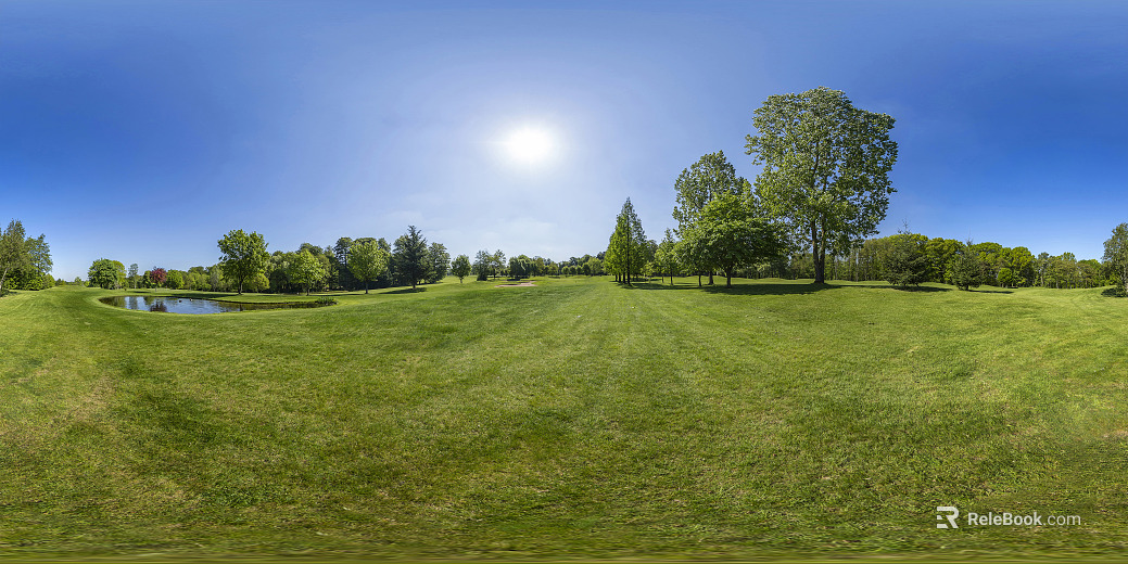 Outdoor Grass Day HDR texture