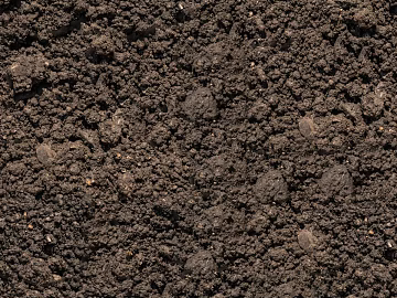 Soil 3d model