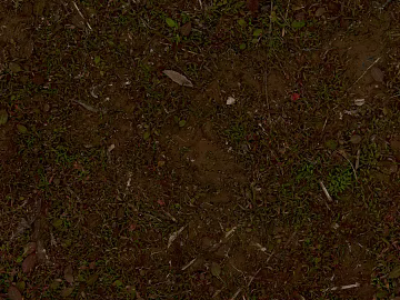 Grassland texture (ID:ffagg61833)