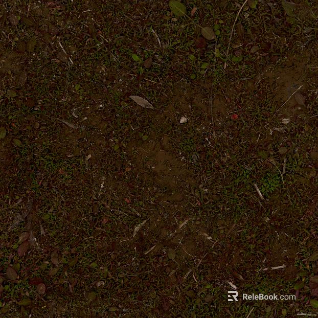 Grassland texture