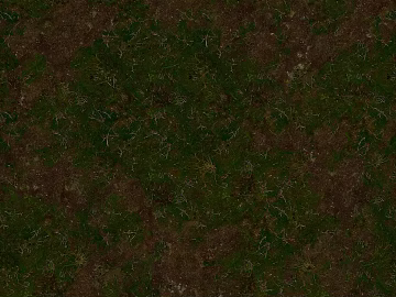 grassland soil wetland ground texture (ID:ffach092716)