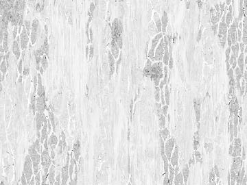 Black and White Bump texture (ID:ffach135666)