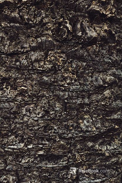 bark texture