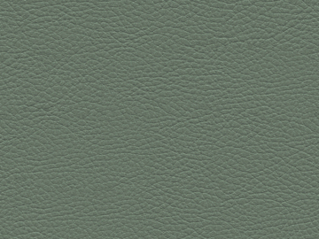 fine grain leather texture (ID:ffaeg00964)