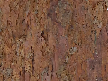 bark texture (ID:ffagf8996)