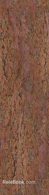 bark texture