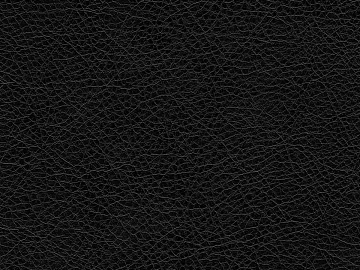 fine grain leather 3d model