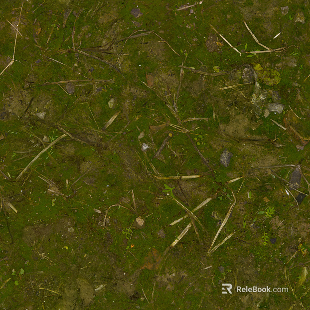 moss texture