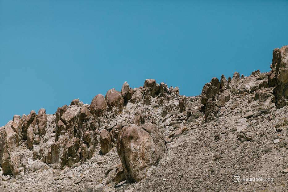 Wild Scenery texture