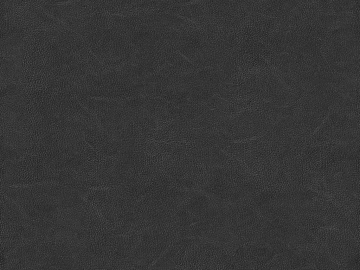 fine grain leather 3d model