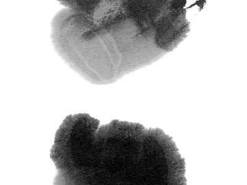 Ink and wash texture (ID:ffach919543)