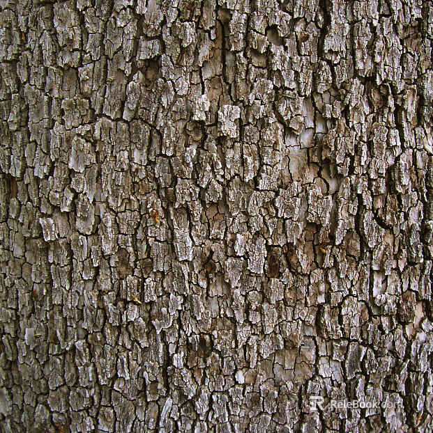 bark texture