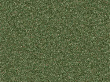 Turf texture (ID:ffabg00737)