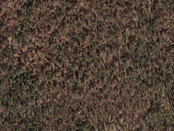 Plants texture (ID:ffacg67612)