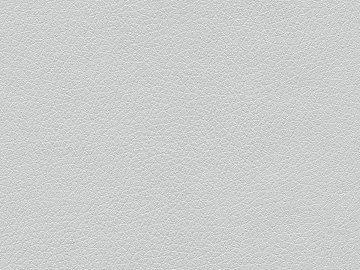 White Coast Grey Leather texture (ID:ffach831406)