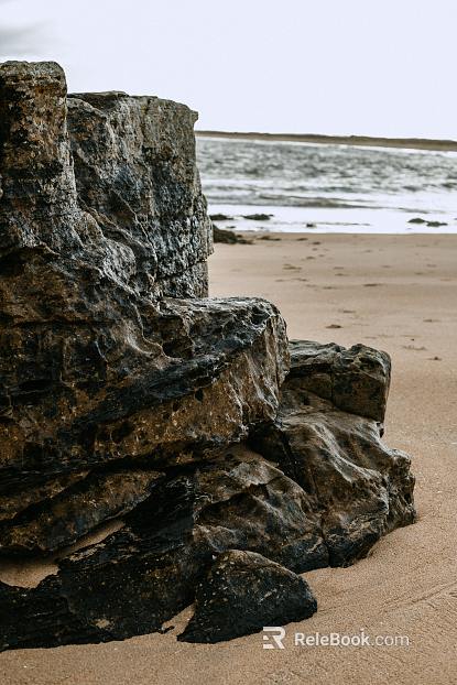 Wild Scenery texture