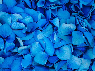 leaves texture (ID:ffabg99257)