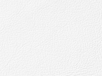 Coarse-grain leather 3d model