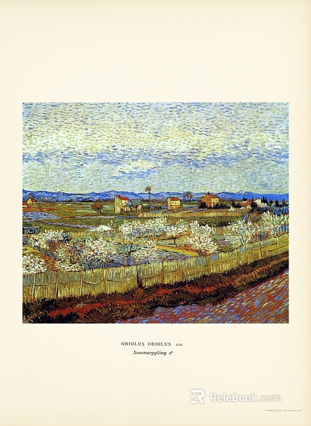 Oil painting texture