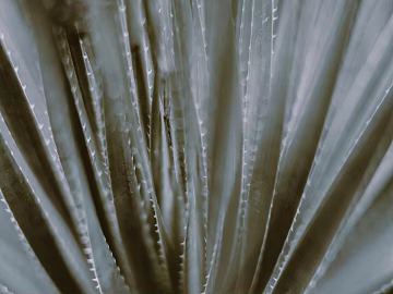 decorative painting texture (ID:ffagg65148)