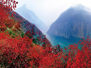 Wild Scenery texture (ID:ffaeg12312)
