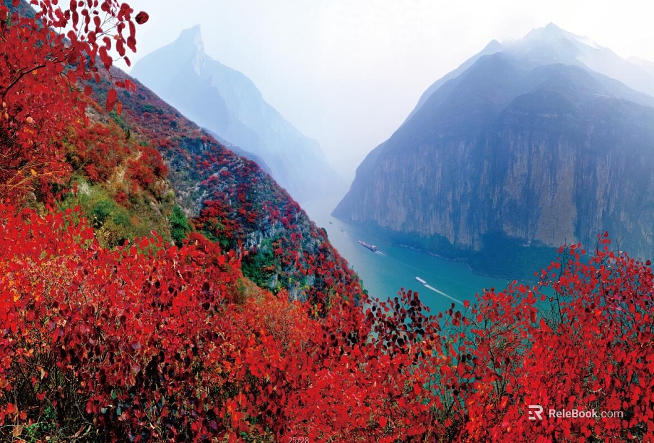 Wild Scenery texture