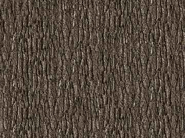 bark texture (ID:ffacg85369)