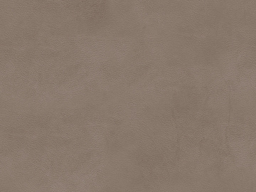 fine grain leather texture (ID:ffaeg66022)