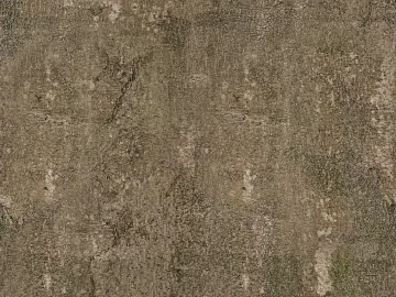 bark texture (ID:ffacg35187)