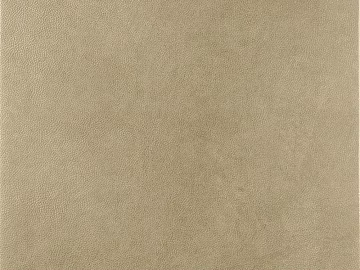 Modern fine leather pattern texture (ID:ffach896810)