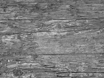 old wood black and white crack wood grain texture (ID:ffabg14903)