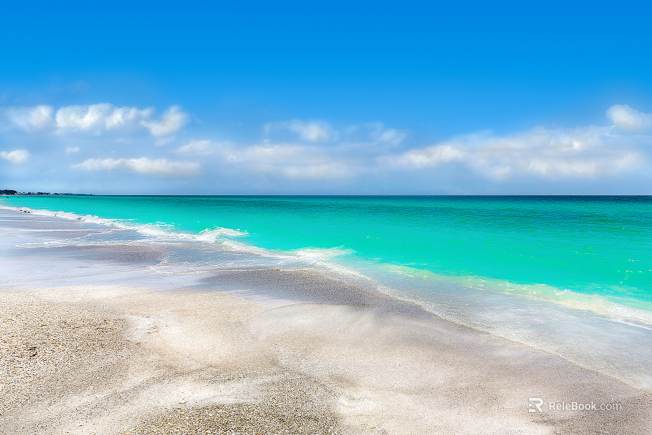 Beach Scenery texture