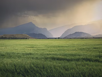 Grassland Wild Scenery texture (ID:ffach334914)