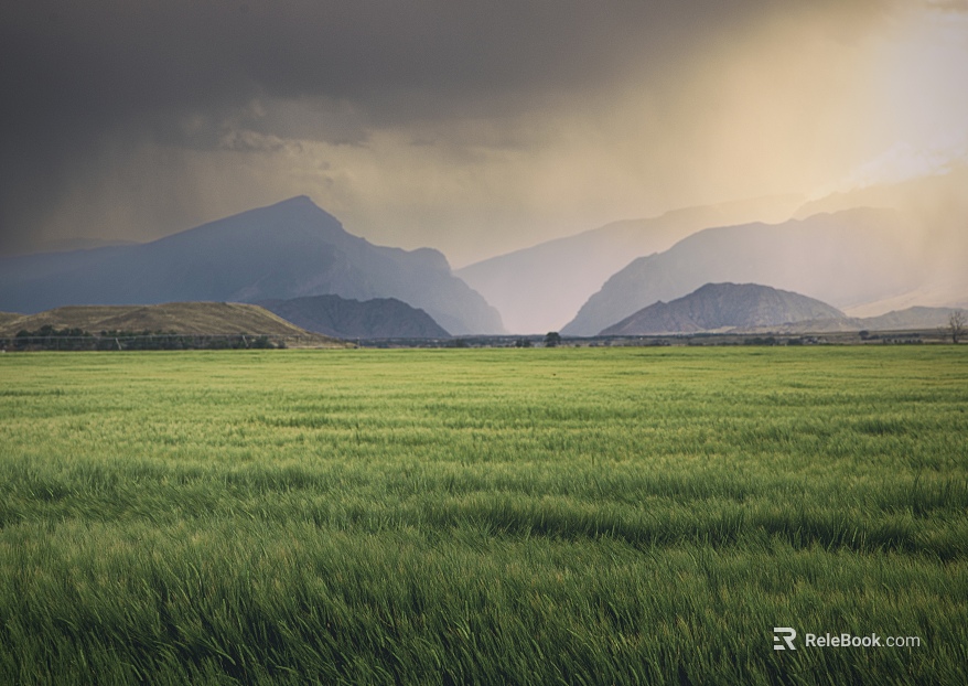 Grassland Wild Scenery texture