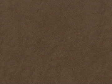 Coarse-grain leather texture (ID:ffacg84679)