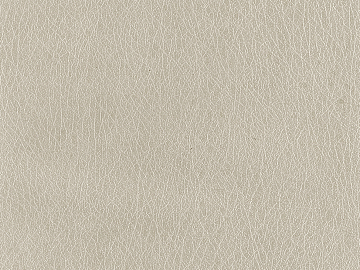 fine grain leather texture (ID:ffacg20324)