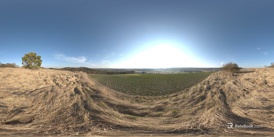 Rural Fields Daytime HDR texture