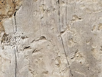 Wood Old wood texture (ID:ffach027303)