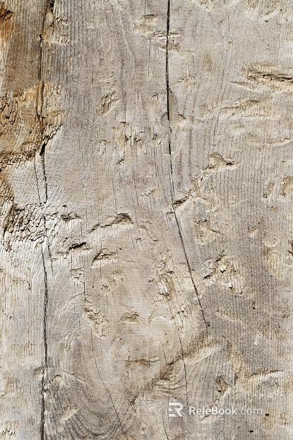 Wood Old wood texture